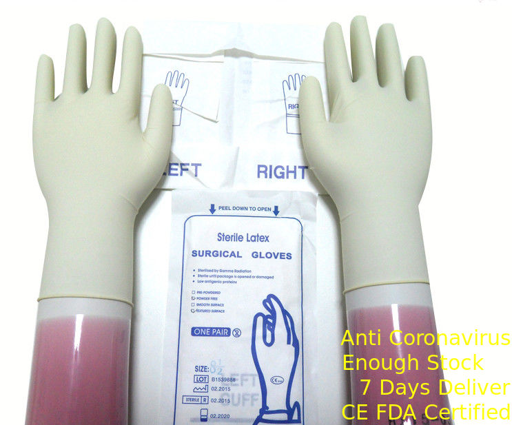 Găng tay phẫu thuật latex vô trùng màu trắng tự nhiên dùng một lần với vành cán nhà cung cấp
